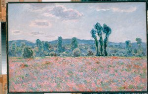 Poppy Field